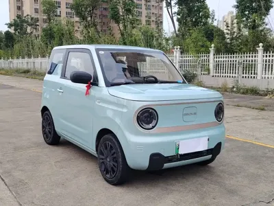 Galaxy Panda