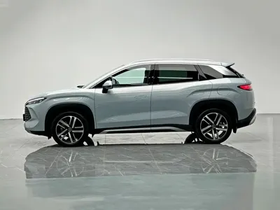 BYD L DM-i
