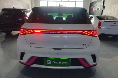 BYD Dolphin
