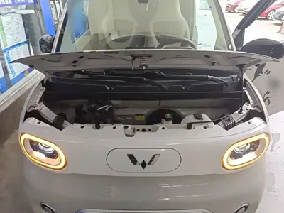Wuling MINIEV