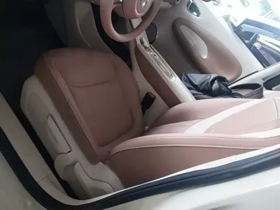Wuling Bingo