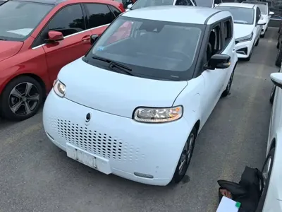 ORA Ora White Cat