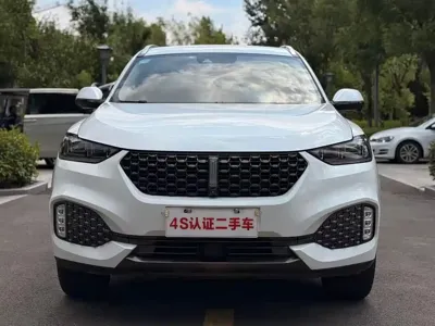 WEY Wey VV6
