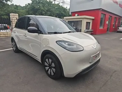 Wuling Bingo