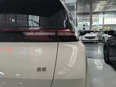 BYD Seagull