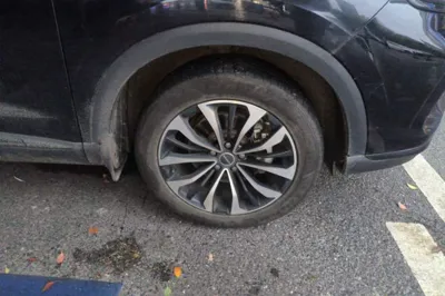 Roewe RX5 Max