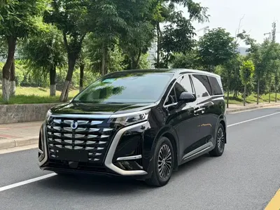 Denza Denza D9