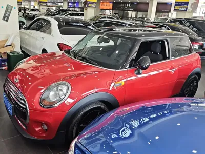 MINI MINI