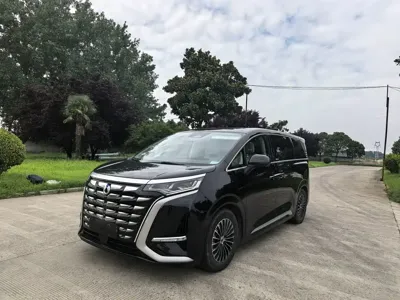 Denza Denza D9