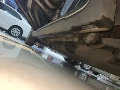 NETA Neta V