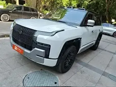 Yangwang Yangwang U8