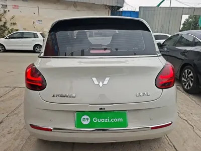 Wuling Bingo