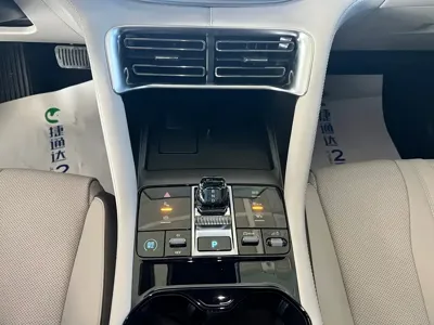 BYD PLUS New Energy