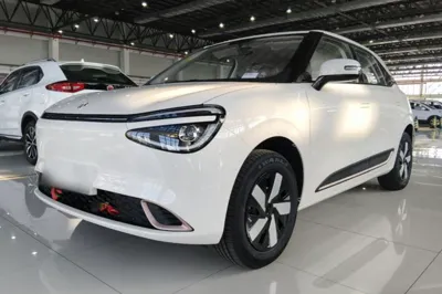 Dongfeng NAMMI 01