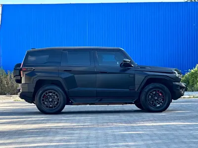 Mengshi Mengshi 917