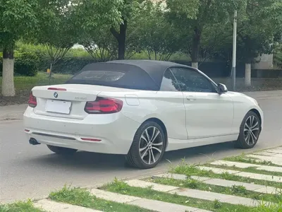 BMW 2 Series (Import)