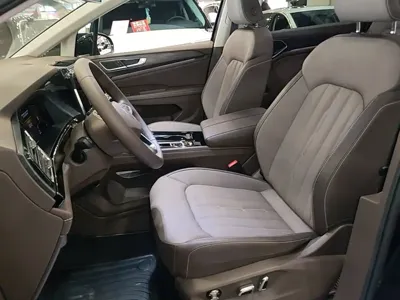 Volkswagen Viloran