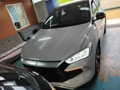 BYD Pro New Energy