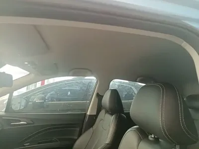 NETA Neta V