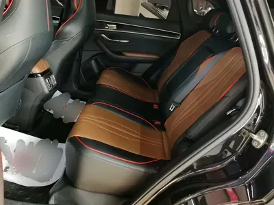 BYD PLUS