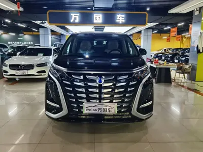 Denza Denza D9