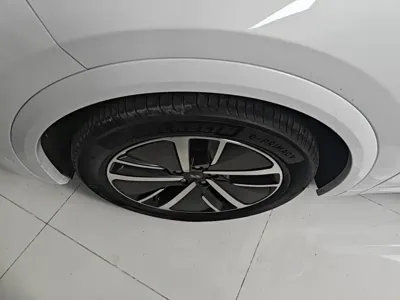 Li Auto Li L7