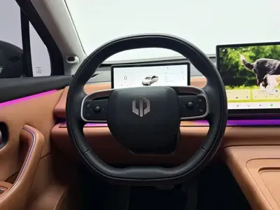 Leapmotor Leapmotor C10