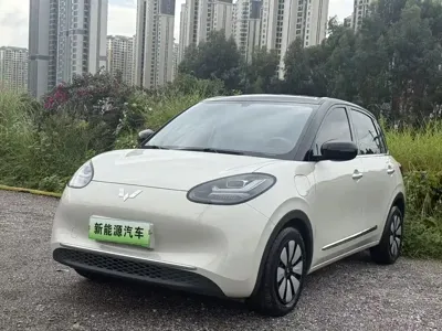 Wuling Bingo