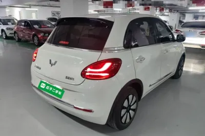 Wuling Bingo