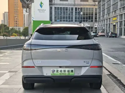 BYD 海狮06