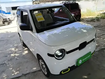 Galaxy Panda