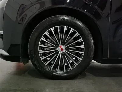 Denza Denza D9