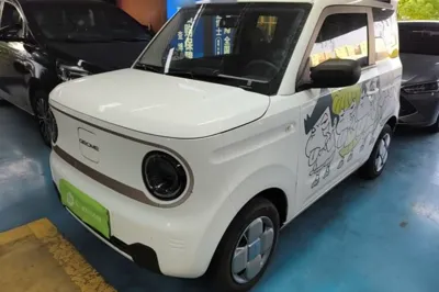Geely Galaxy Panda
