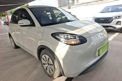 Wuling Bingo
