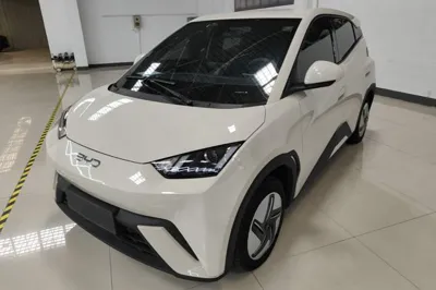 BYD Seagull