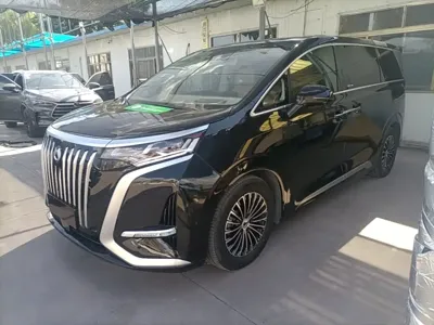 Denza Denza D9