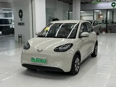 Wuling Bingo
