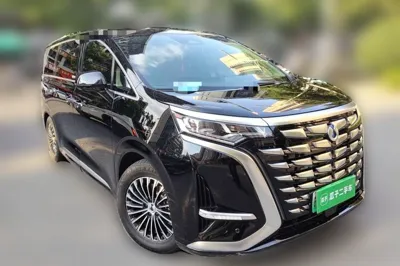 Denza D9