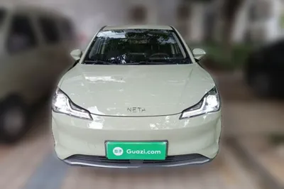 NETA V