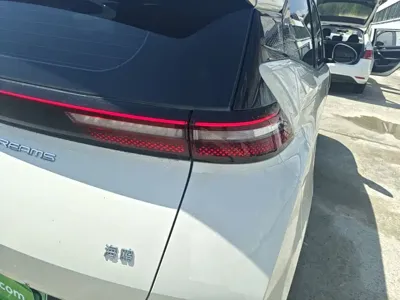 BYD Seagull