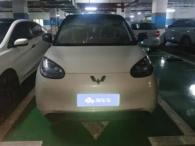 Wuling Bingo