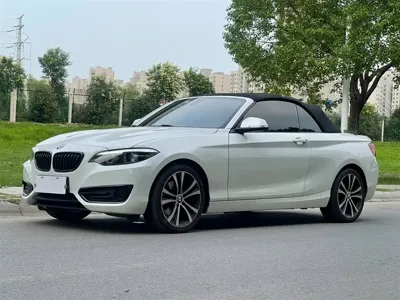 BMW 2 Series (Import)