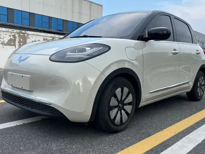 Wuling Bingo