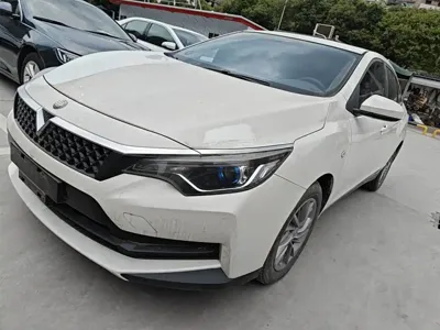 Venucia D60