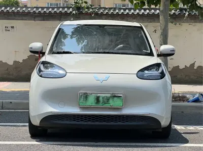 Wuling Bingo