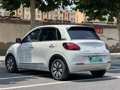 Wuling Bingo