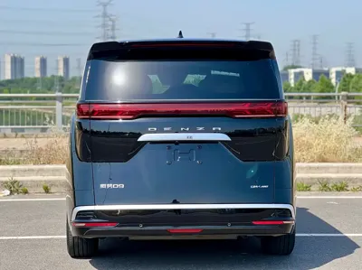 Denza Denza D9