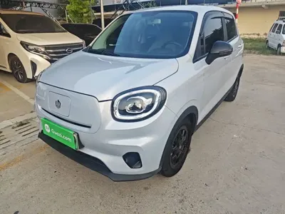 Leapmotor Leapmotor T03