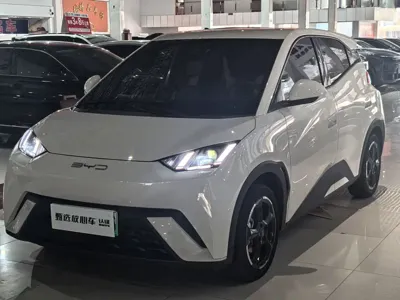 BYD Seagull