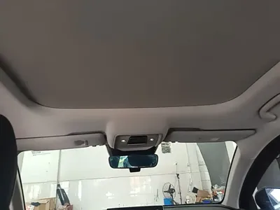 BYD Pro New Energy